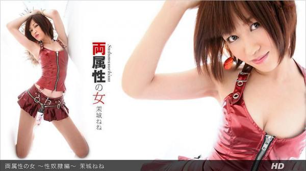 两种属性的女人 ～性奴隶篇～ _1pondo_062012_365